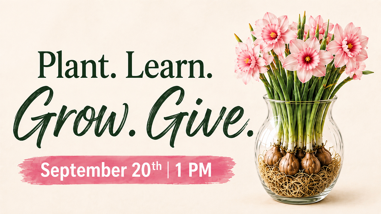 plant learn grow give
